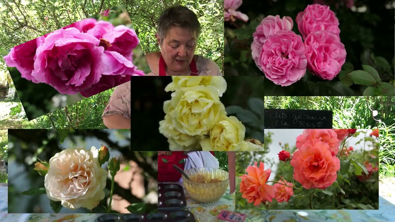 Petits gâteaux à la rose