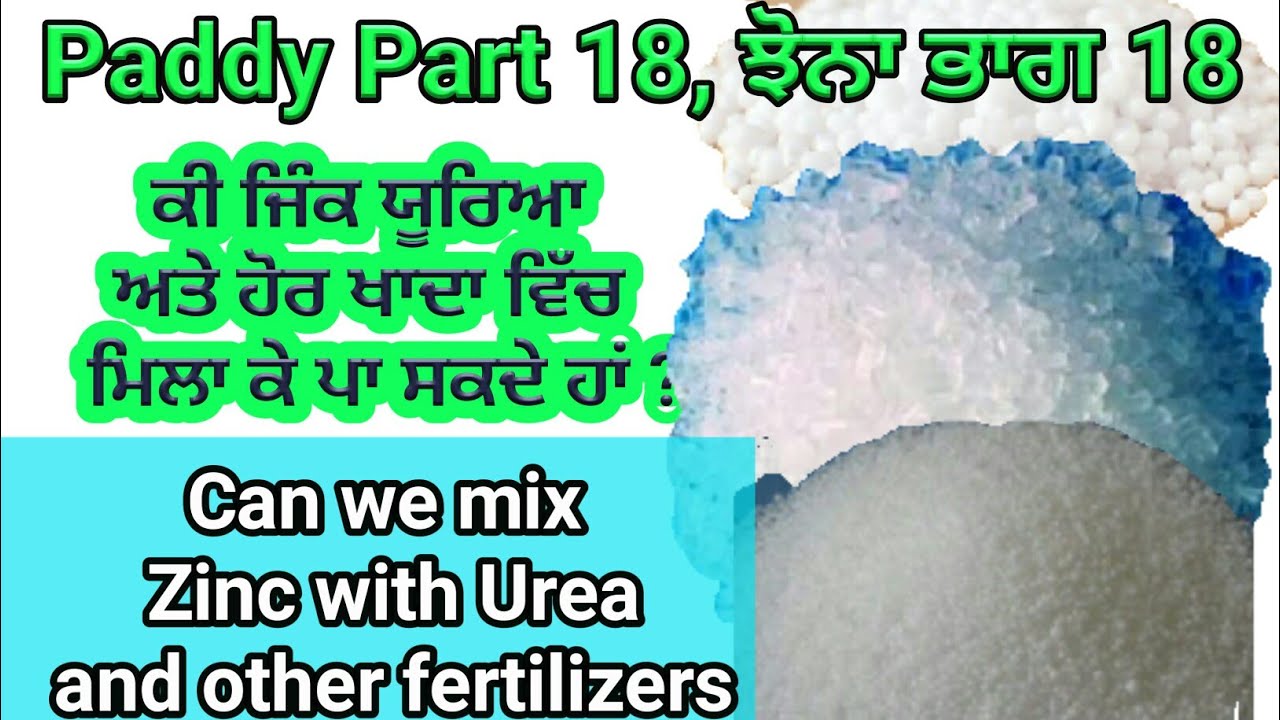 Can we mix agricultural grade zinc sulphate and urea ? Paddy Part 18 by Sher Gill Markhai