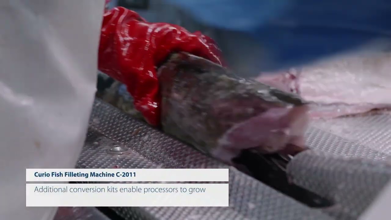 Curio Fish filleting machine C-2011