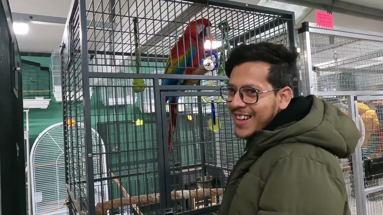 Vlog 002 Birds Shop in UK 2026