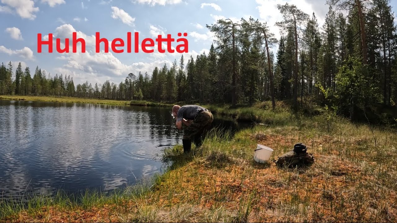 Hillaa ja hellettä 2025
