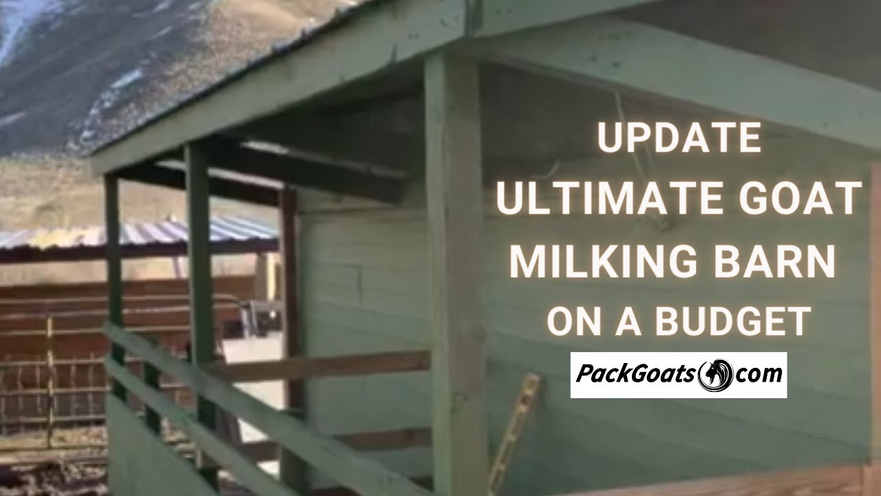 Update on milking barn.