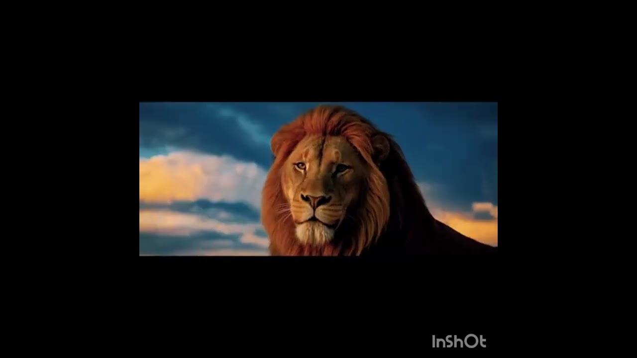 Ciclo sin fin - El rey león live action-  credits: #wnfproductions 👈🏻 sigan su página 