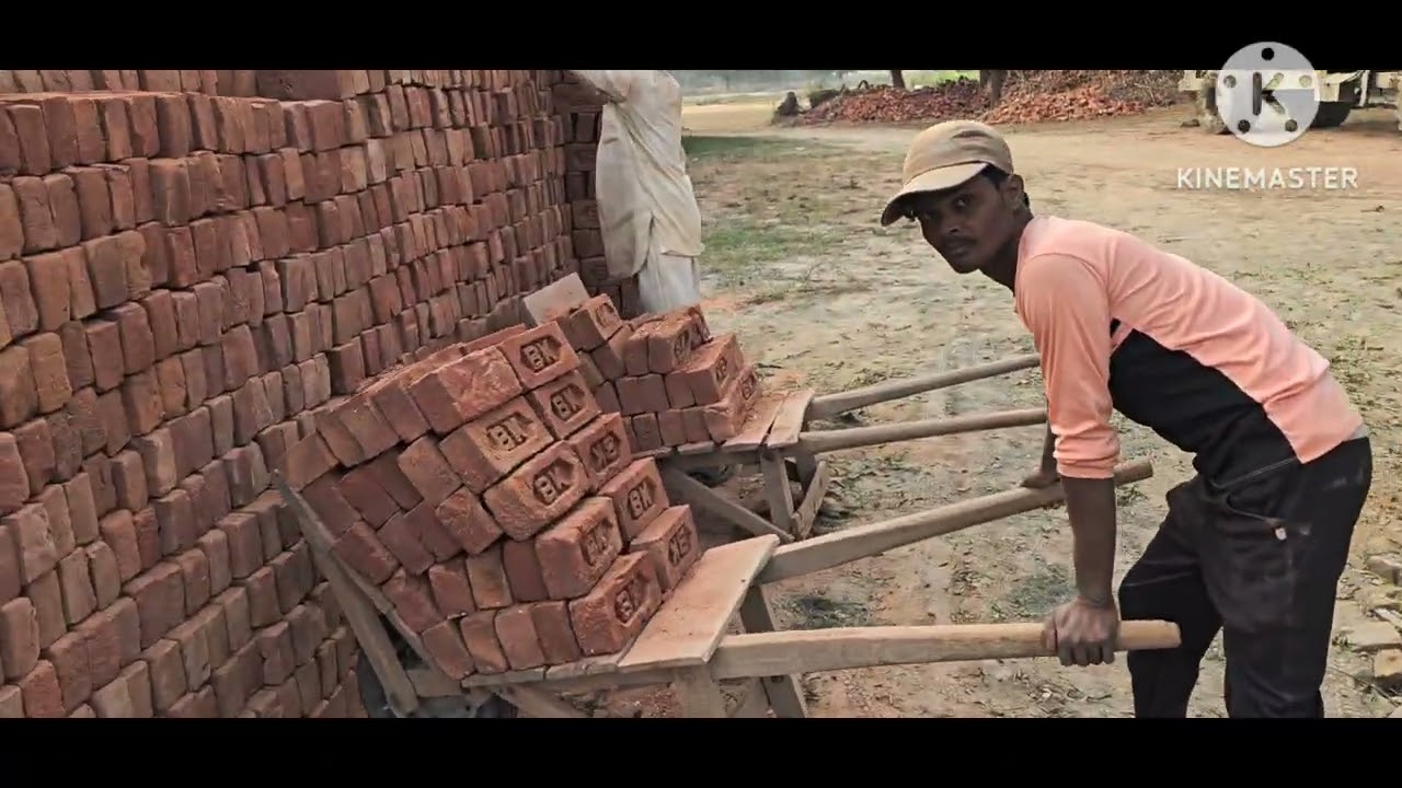 भटे की निकासी कैसे होती है