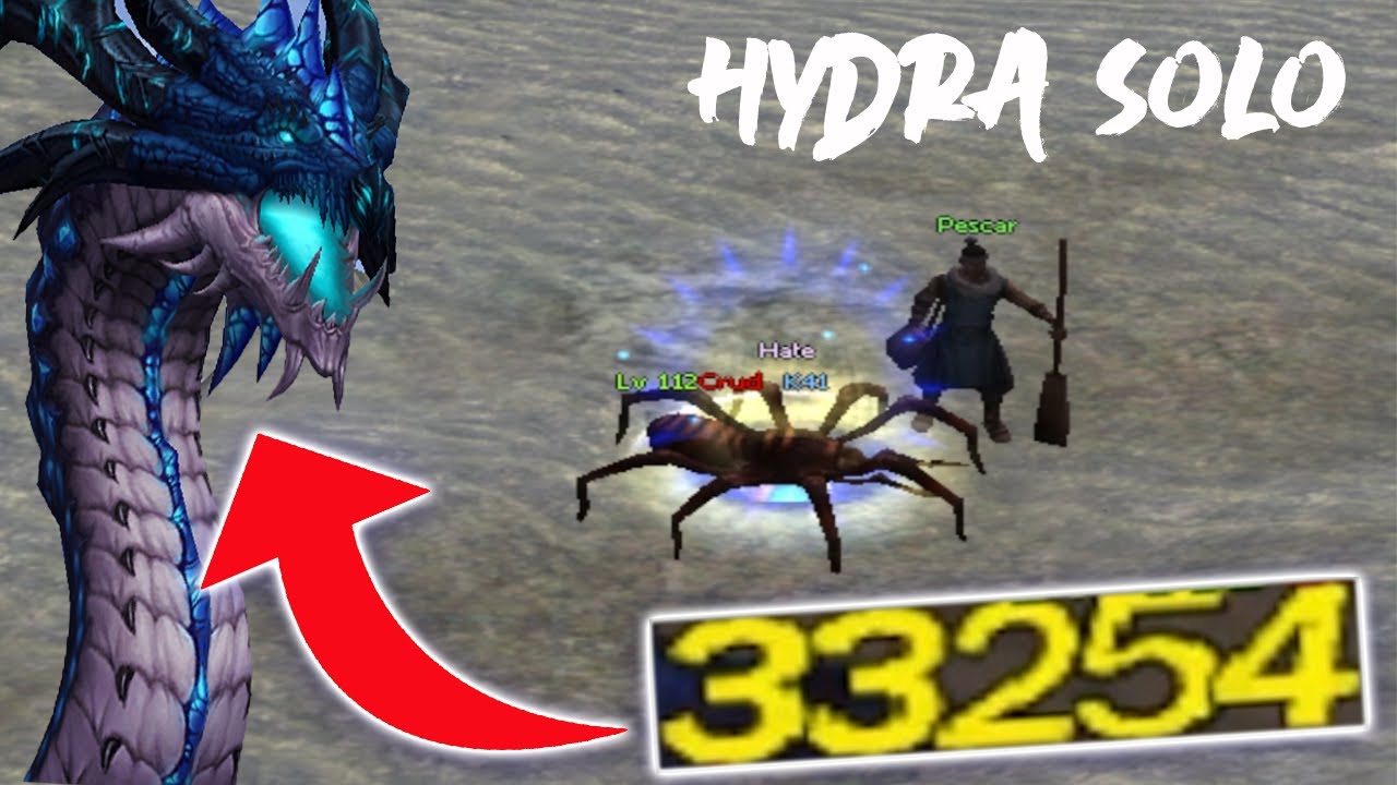 Asa arata un ninja perfect pentru HYDRA! Metin2ro Kirin