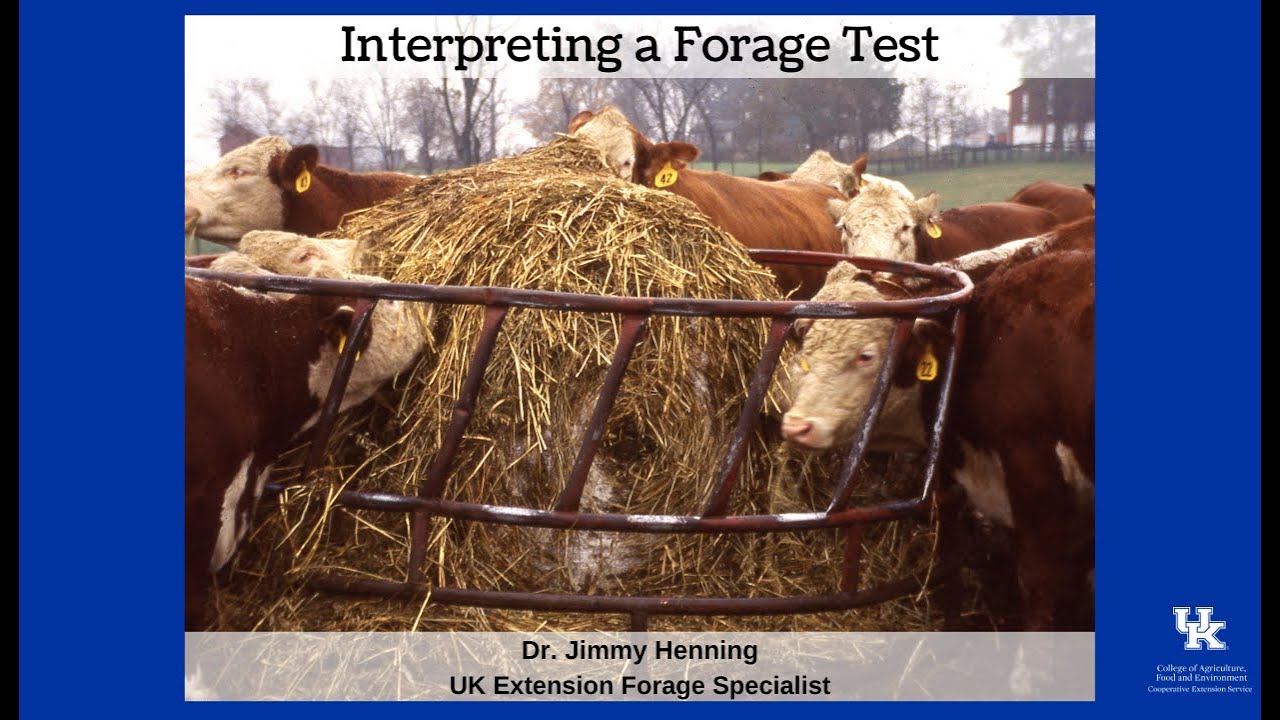 Interpreting a Forage Test