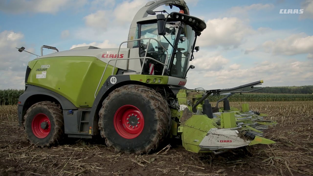 CLAAS JAGUAR 950 SHREDLAGE - Opinia profesjonalisty z Fortune Cieszymowo.