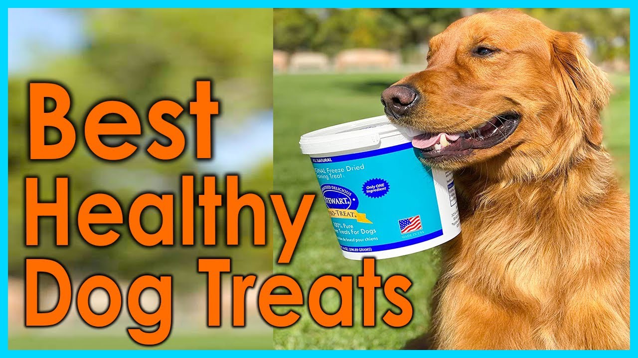 Best Healthy Dog Treats [Top 5 Picks]