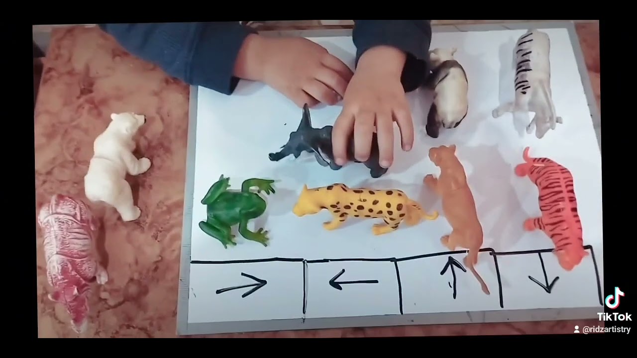RIGHT LEFT UP DOWN Animals sorting activity.. #toddlers #animals#youtube #fun #activitiesfortoddlers