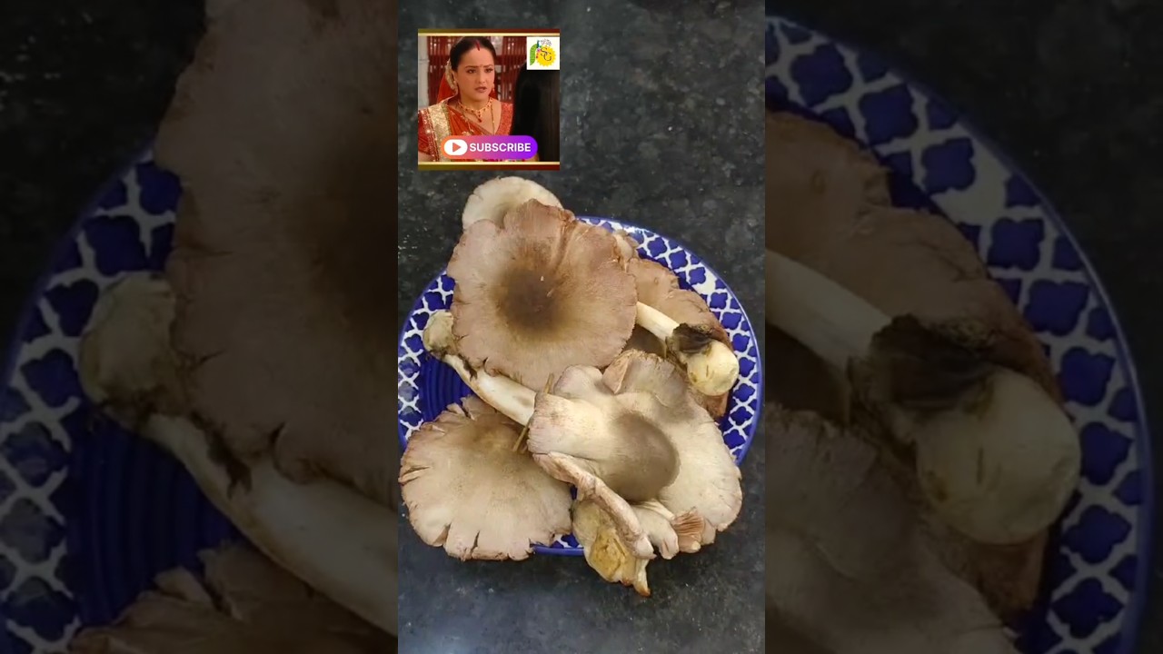 Rashi insult kokila 