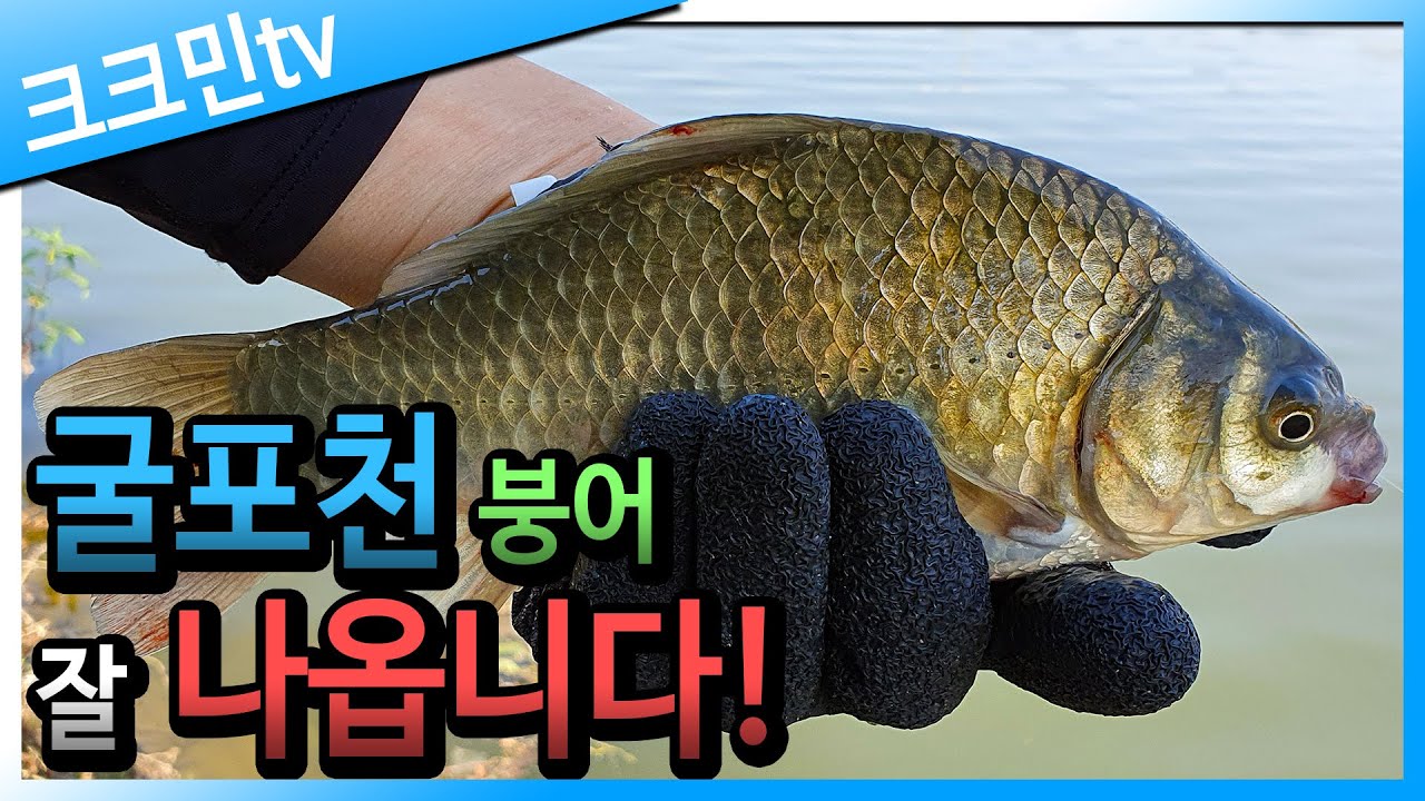 Мне нравилась рыбалка Ингрэма с реки в центре Кореи.