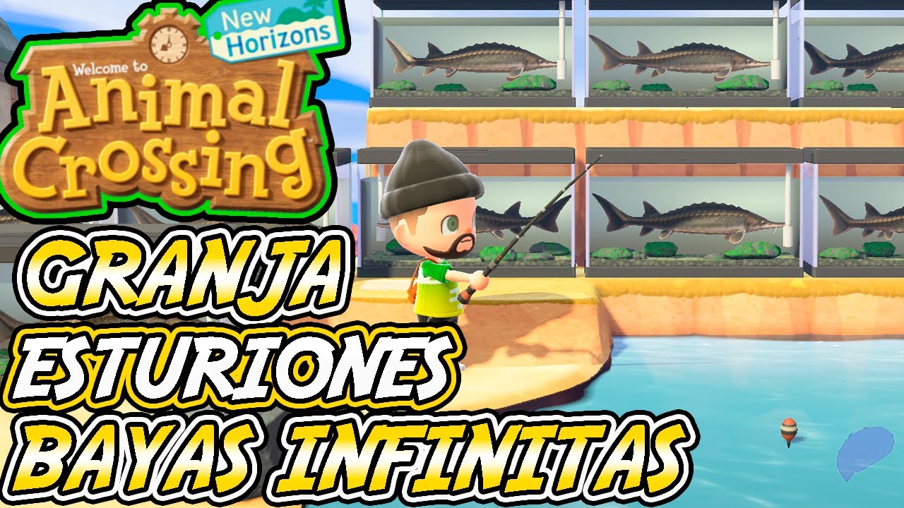 Trucos y Consejos Animal Crossing New Horizon #25 GRANJA DE ESTURIONES Y BAYAS INFINITAS SIN TRAMPAS