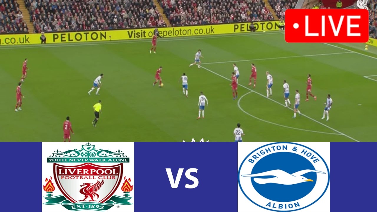 🔴 ليفربول ضد برايتون بث مباشر - الدوري الإنجليزي الممتاز 2026 | مباراة كرة قدم مباشرة اليوم | محا...