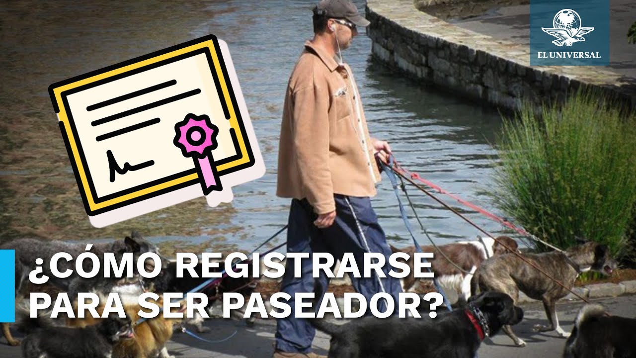 &iquest;Quieres certificarte como paseador de perros en CDMX? Esto es todo lo que debes saber