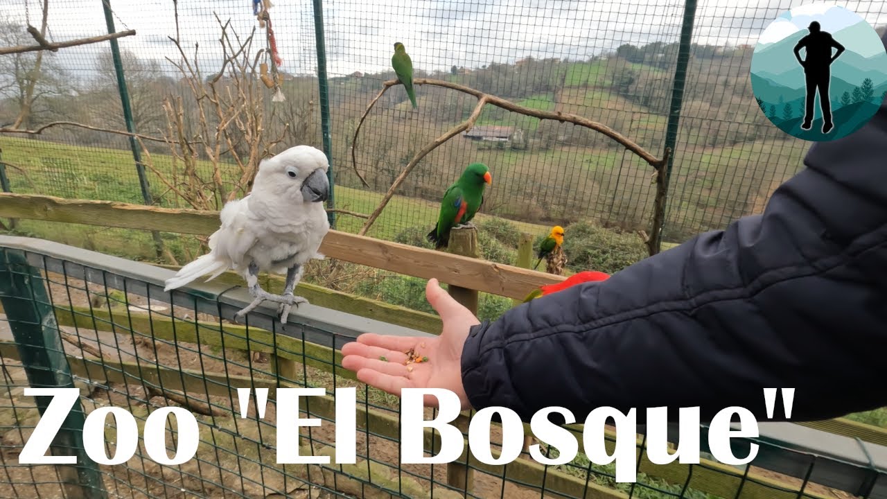 Zoológico "El Bosque". El zoo de Oviedo. 