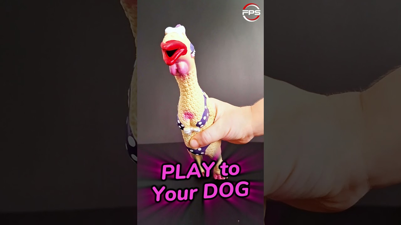 Squeaky toy sound for dogs #dogsound #viralvideo