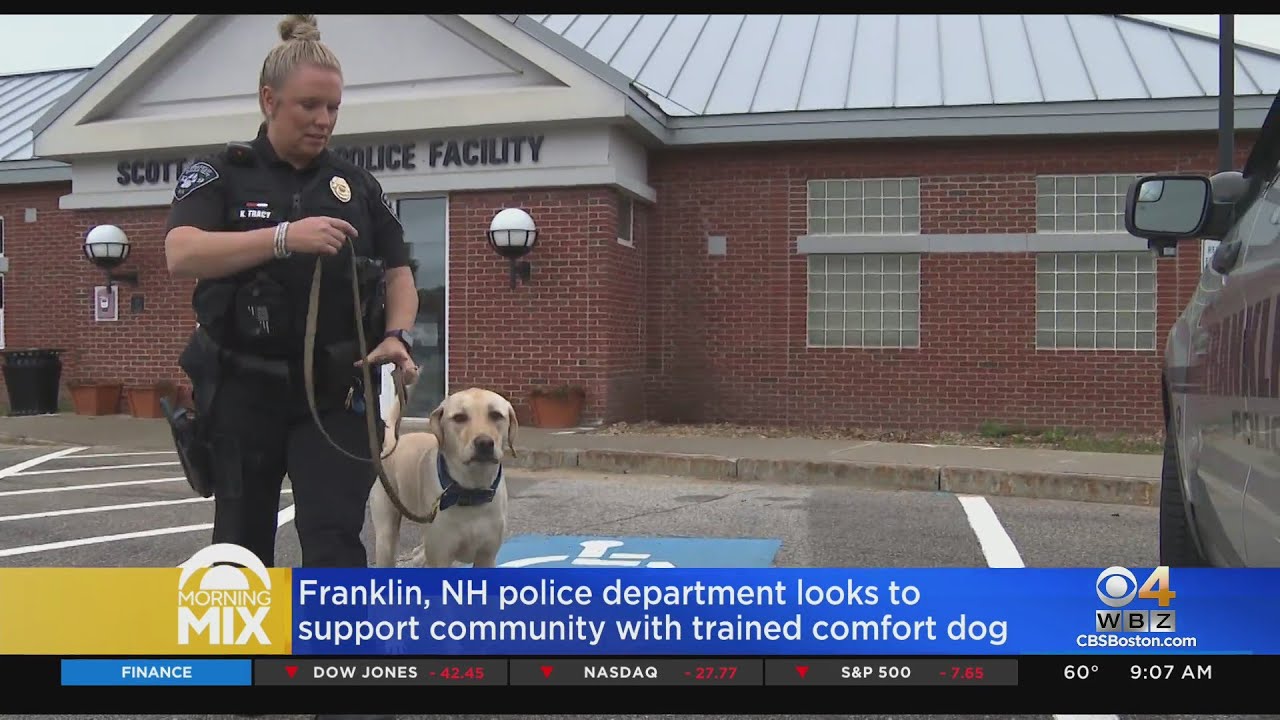 Franklin, NH police department supports community with comfort dog