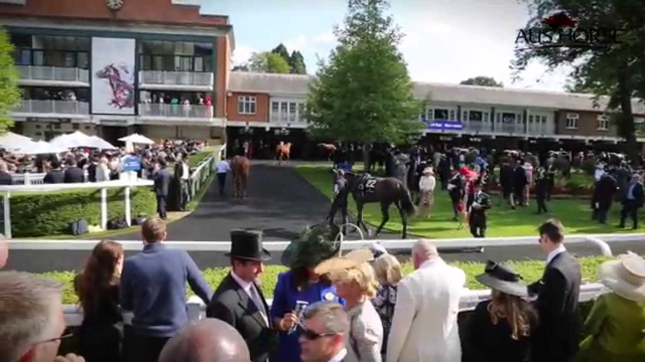 Royal Ascot - An Owner's Journey