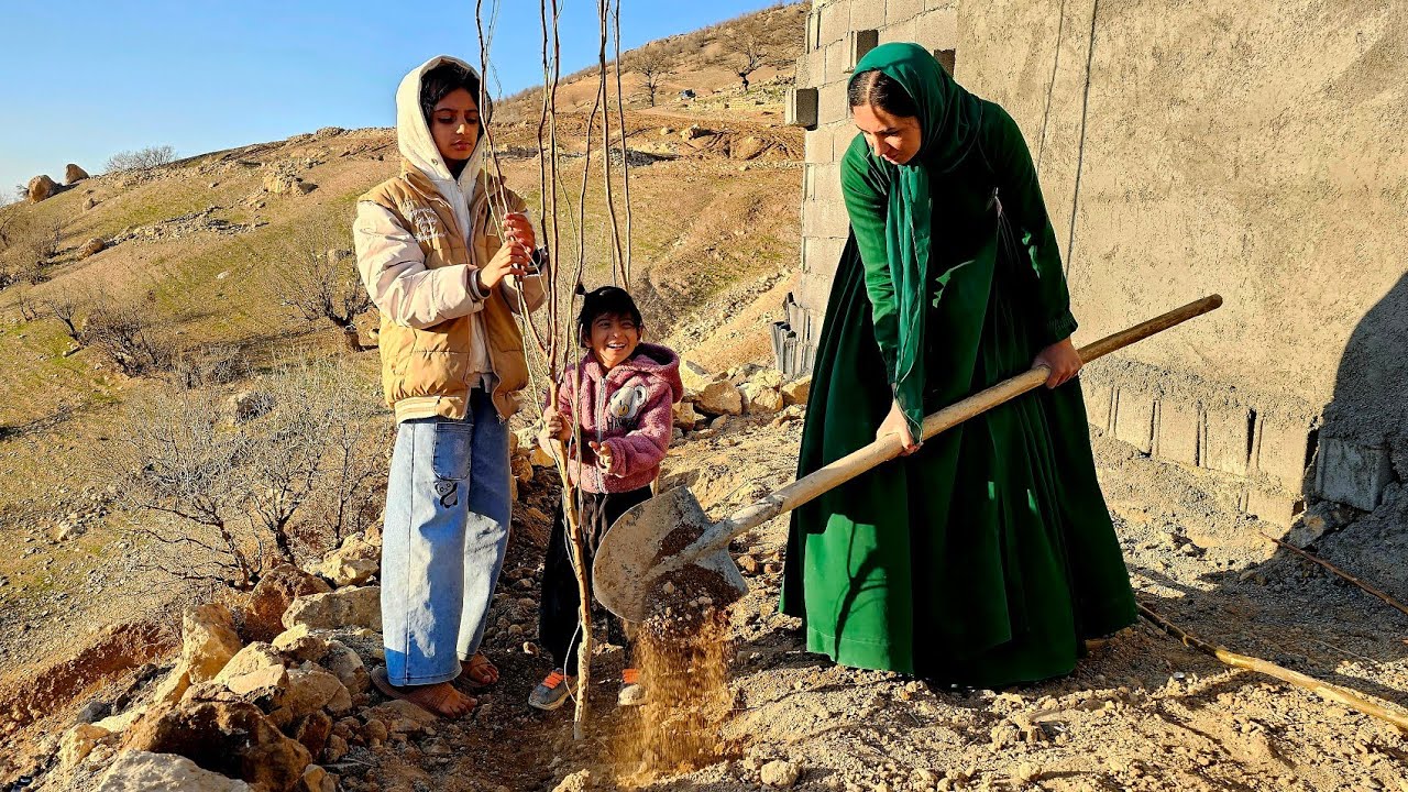 Bitter Cold, Unshakable Determination | Tree Planting by Behnaz