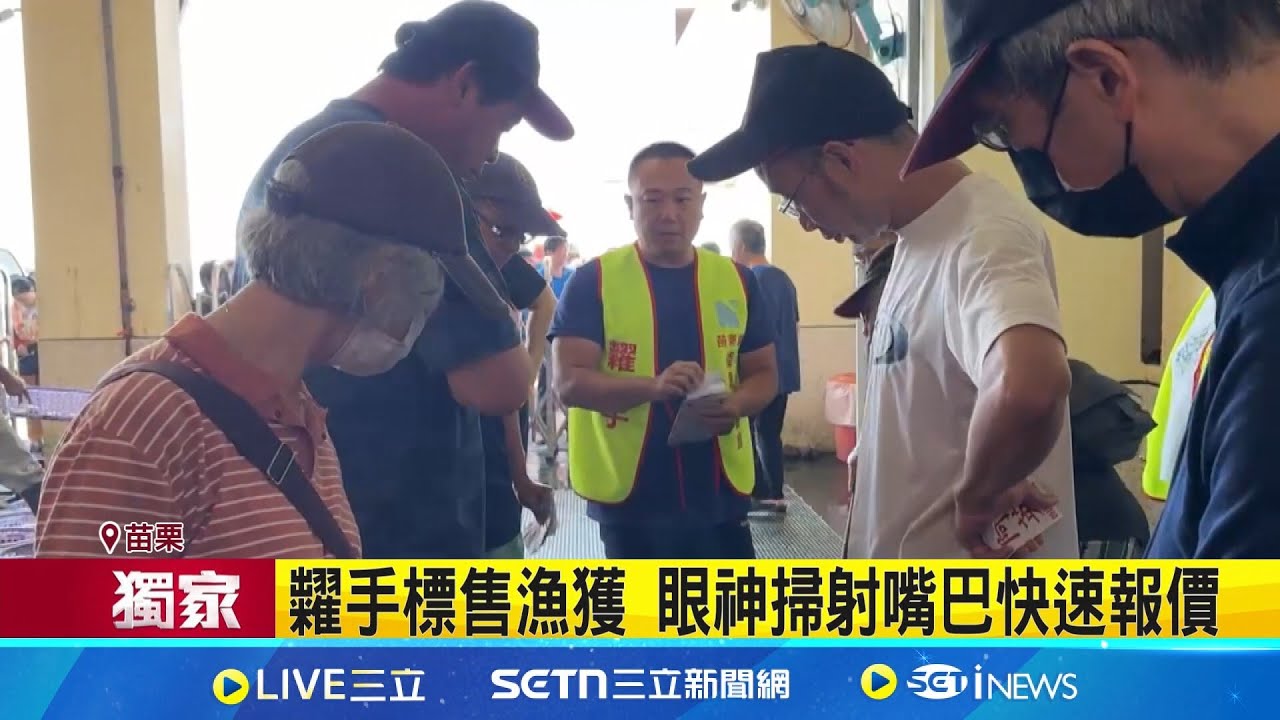 漁港競標漁獲 