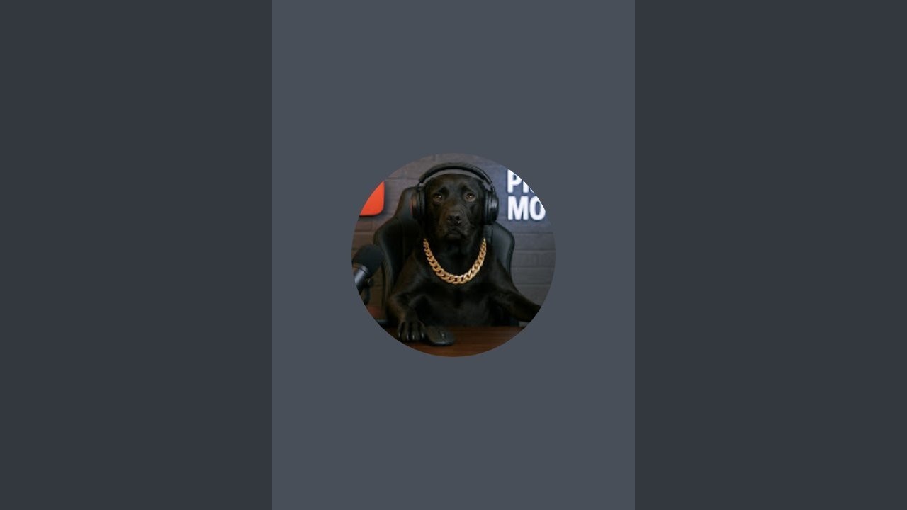 Pishu Mova is live (Late night Study with me)
