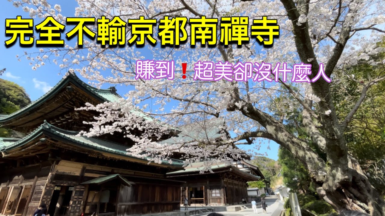 看完一定會想去❗️爬山意外發現鎌倉超級美景🌸越來越厲害的日本便利商店、疫情後小町通大變！離婚後一個人心境變化、日本鎌倉旅遊vlog