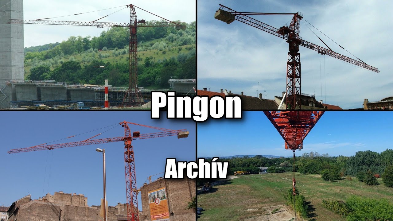 Pingon toronydaruk Magyarországon | Archív felvételek