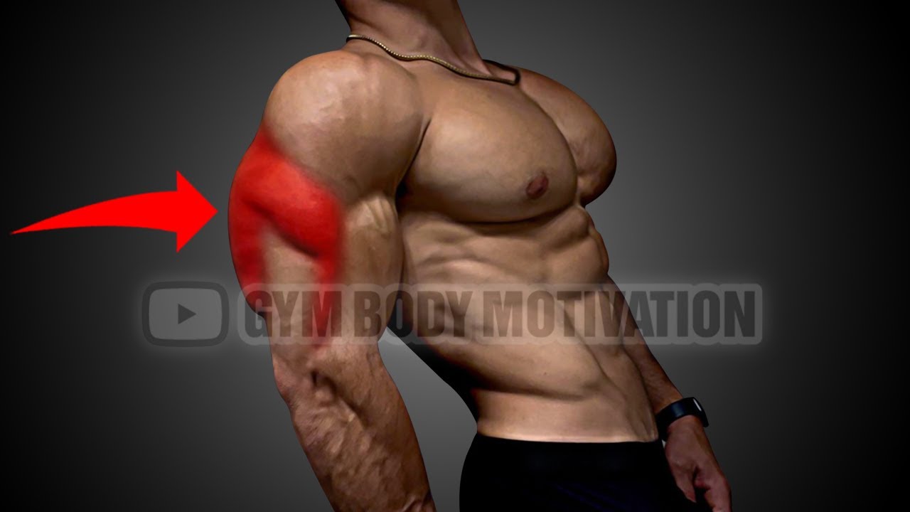 6 Best Tricep Exercises for Beginners - Gym Body Motivation