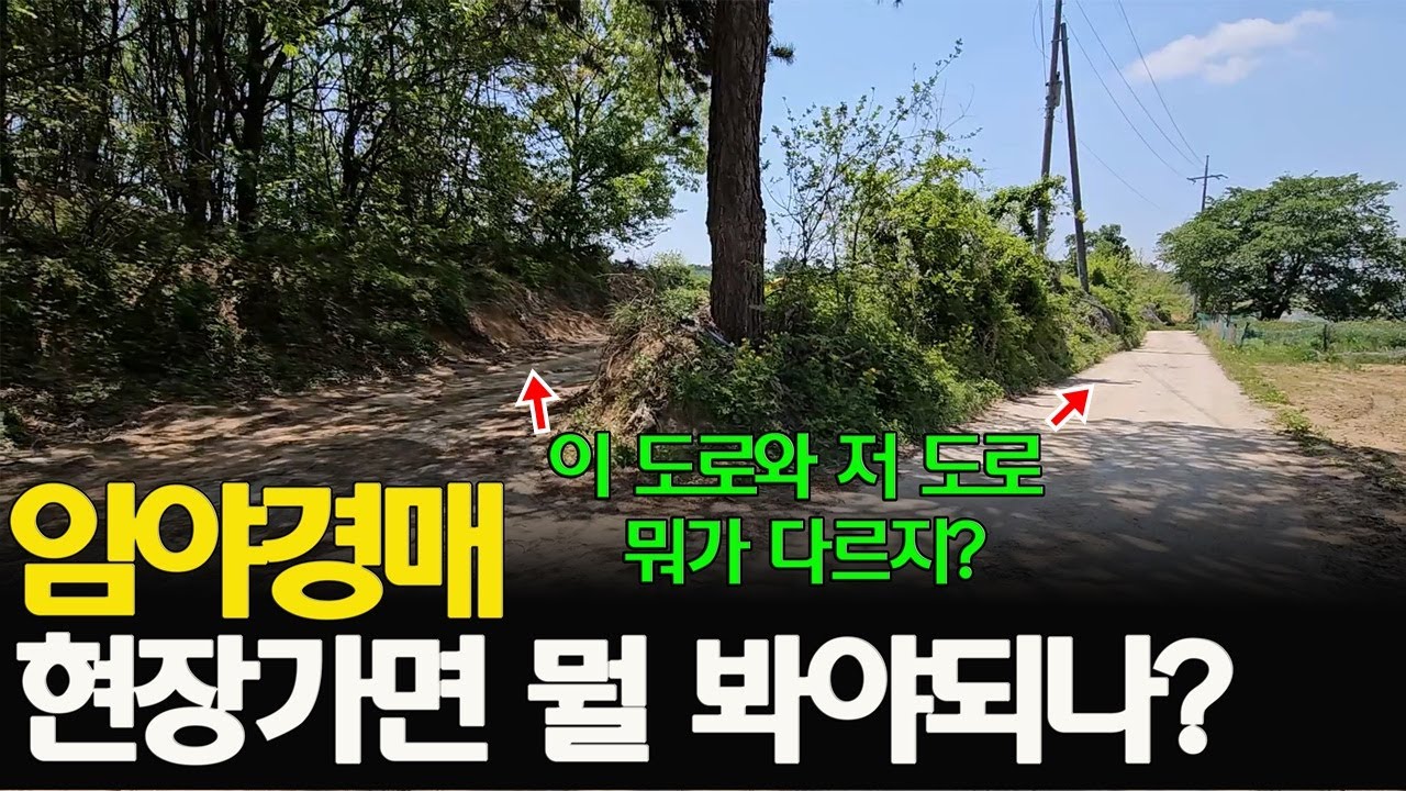 (정보) 비슷하게 보여도 다릅니다 임야경매 토지임장 가면 현장에서 확인할것 땅은 현장에 답이 있습니다