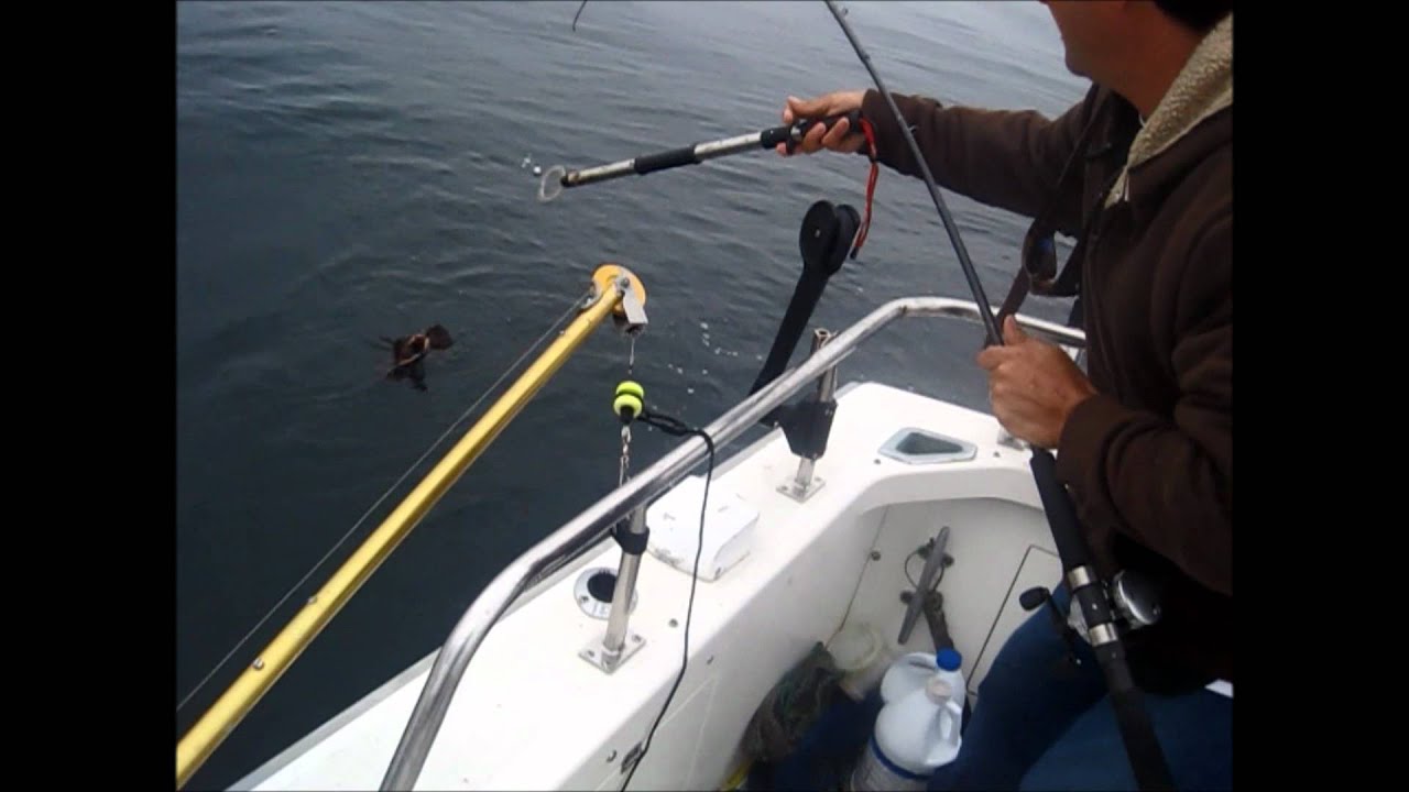 Dean Ween and Les Claypool go fishing