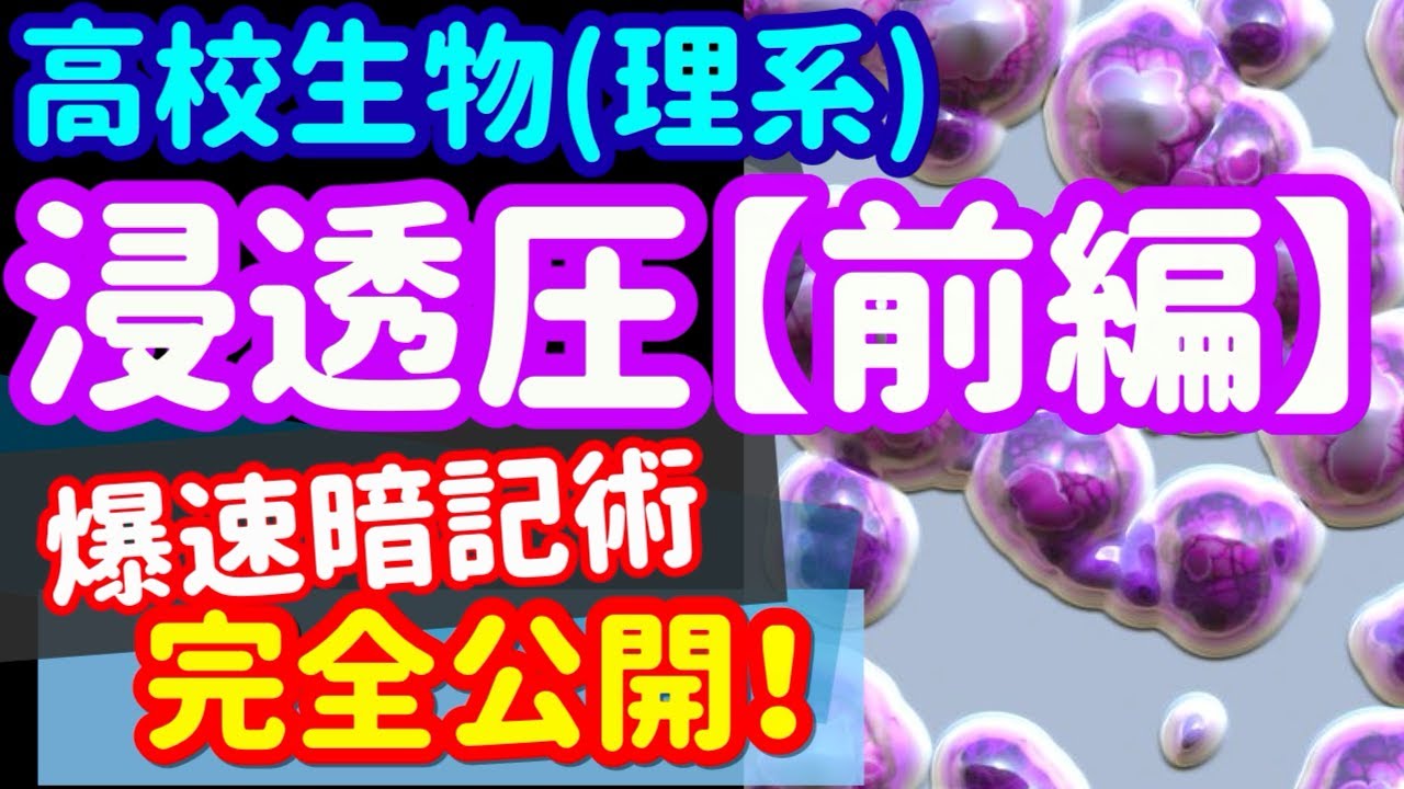【高校生物 117】【浸透圧「前編」原理と赤血球の浸透圧】を宇宙一わかりやすく