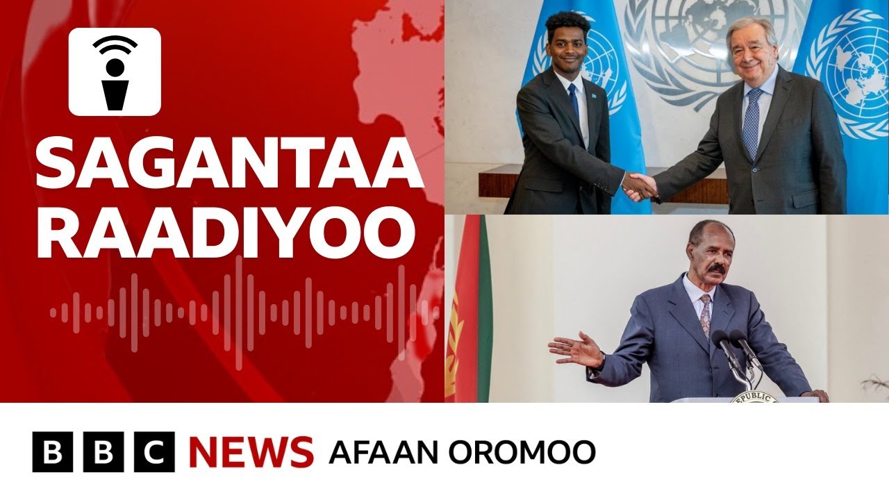 'Hawwii ulaa galaanaa Itoophiyaarratti Ertiraan maal jette? | BBC News Afaan Oromoo