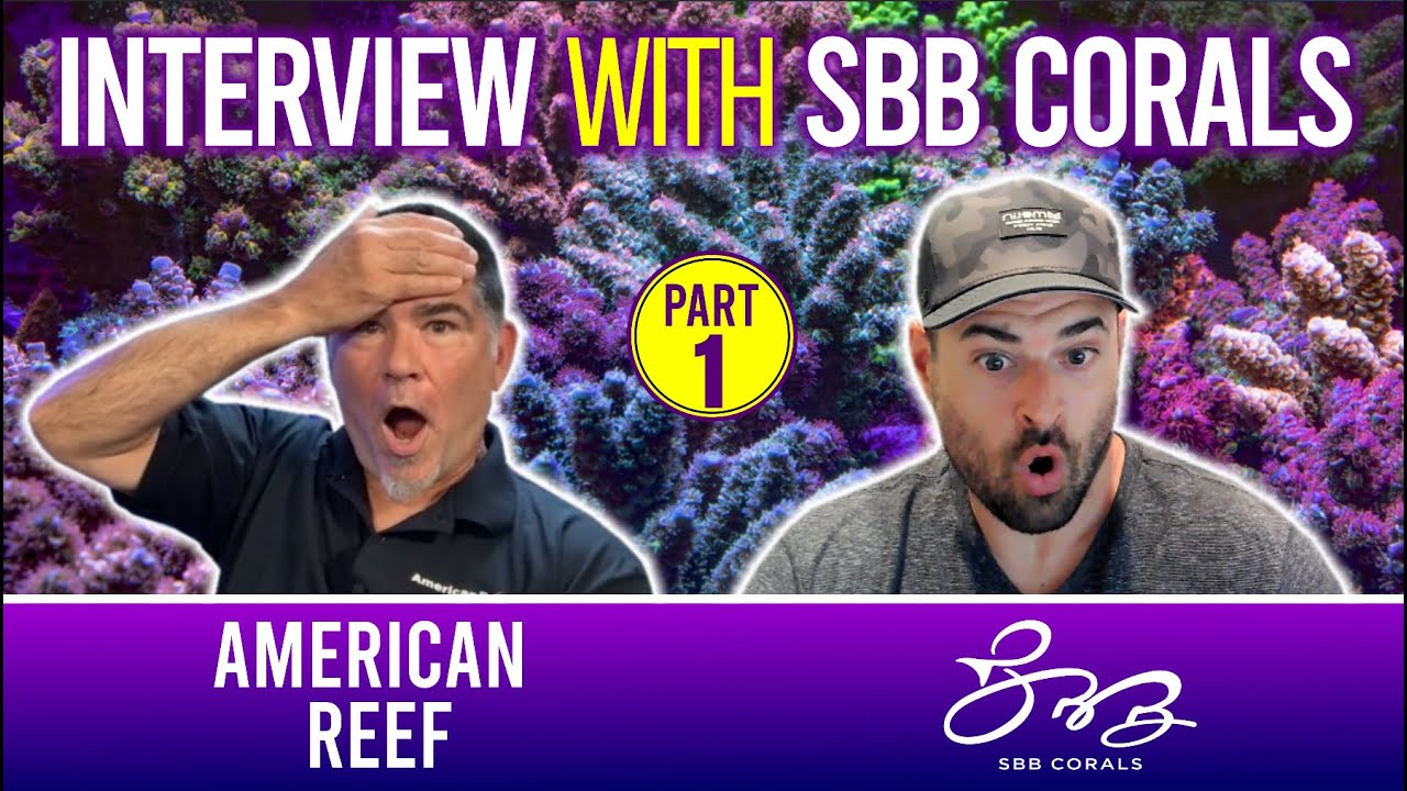 Growing Coral - Advice from high end coral farmer  -  Part 1 - Simple Saltwater Aquarium