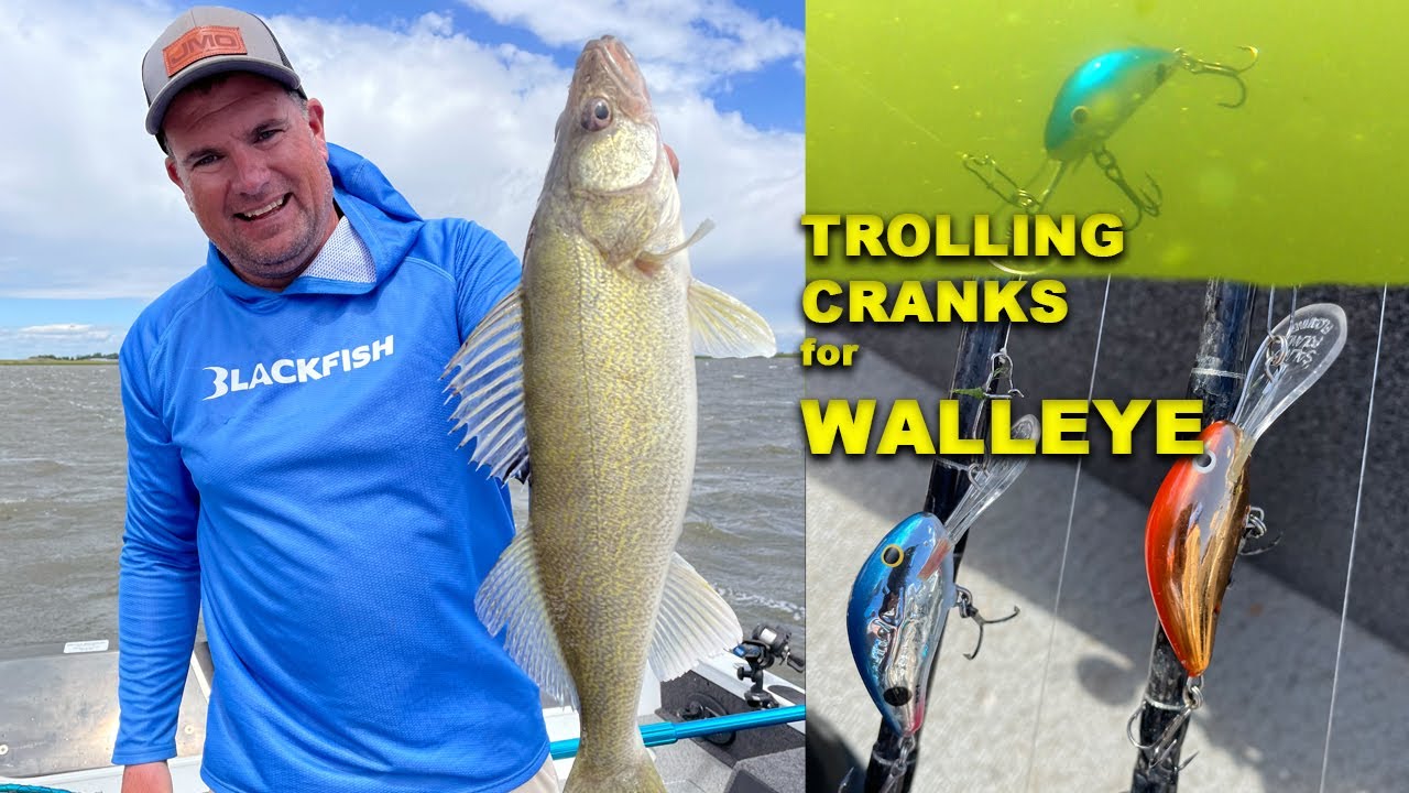 Trolling Tactics for Shallow Summer Walleye