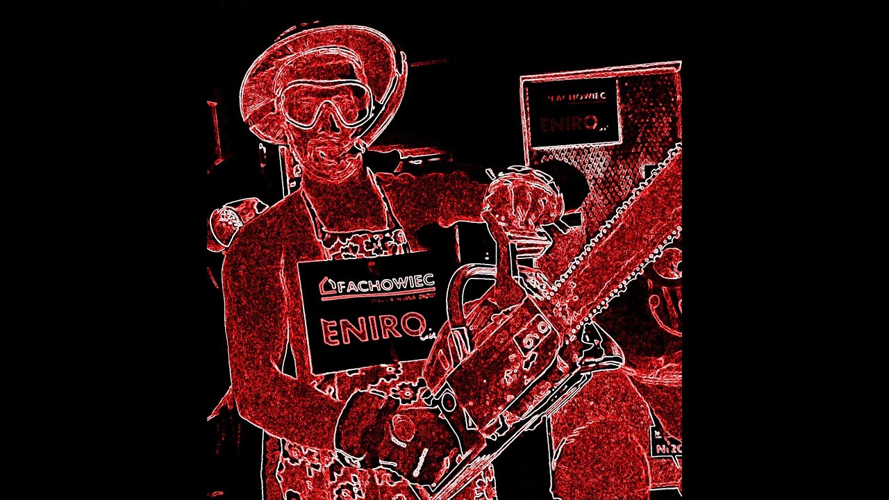 Fachowiec special edition ENIRO 2013