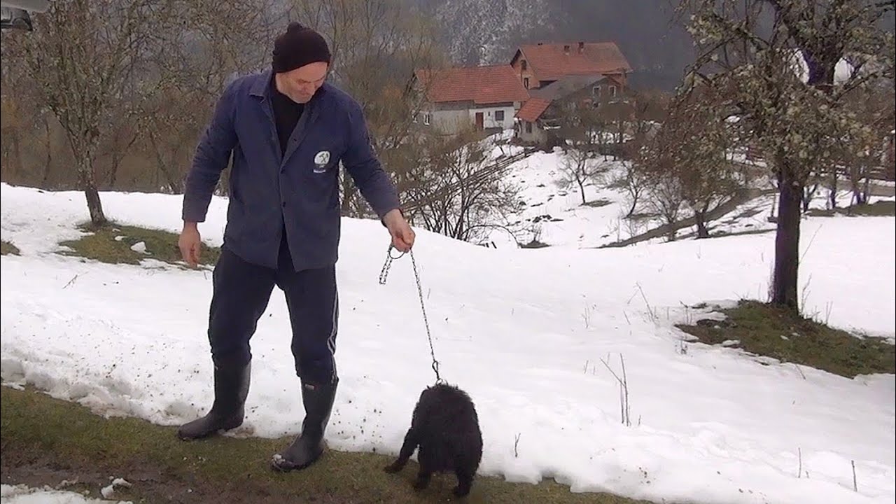 Zahir presretan na poklon dobio psa (Pulina)