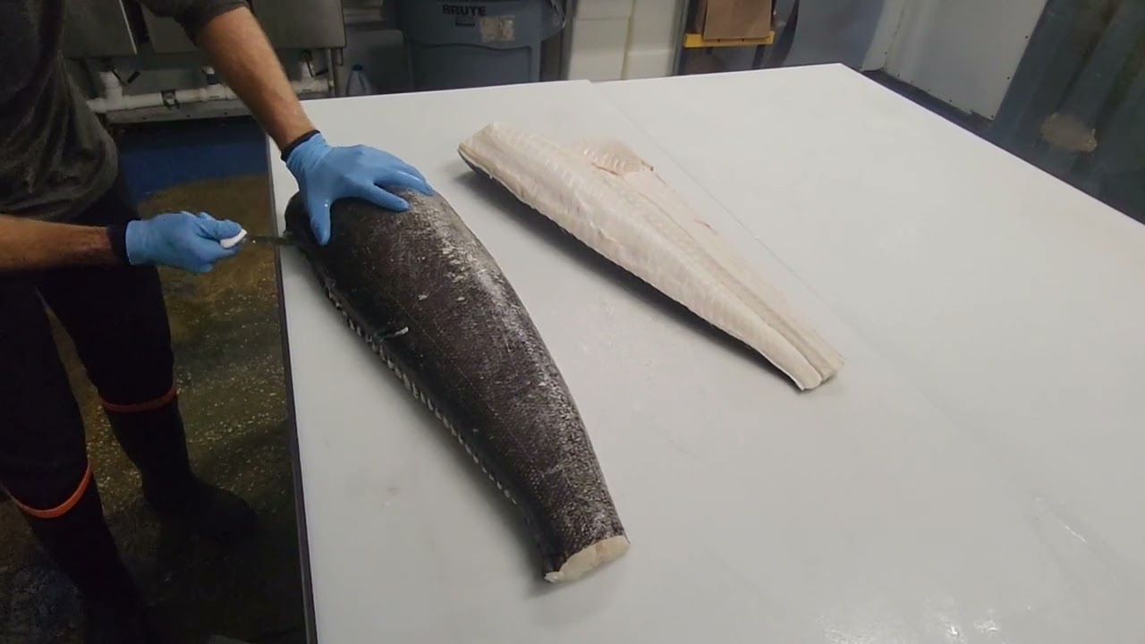 Patagonian Toothfish, aka, Chilean Seabass