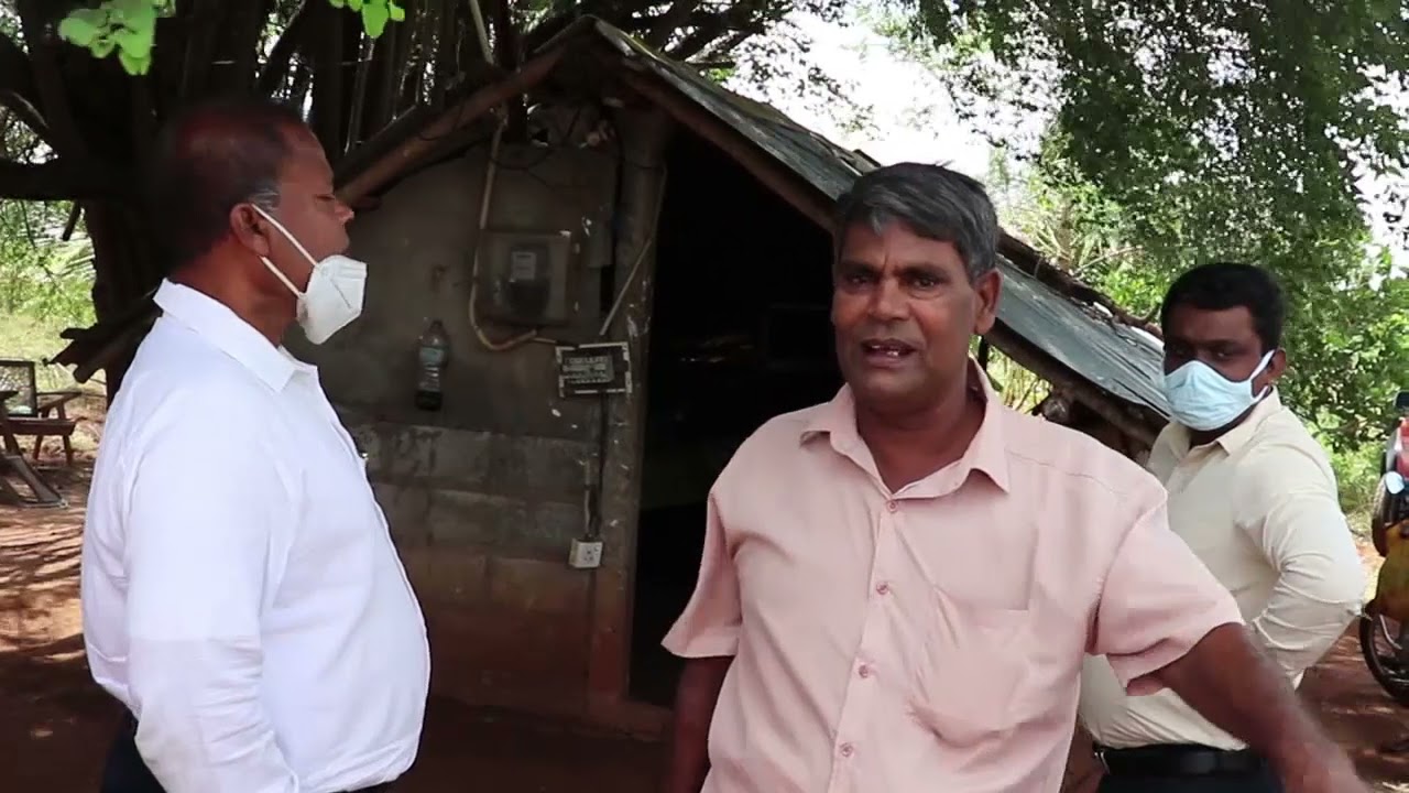 පුහුල් පැලෙන් මතුවු කෝටිපතියා ගැන දැනගමු