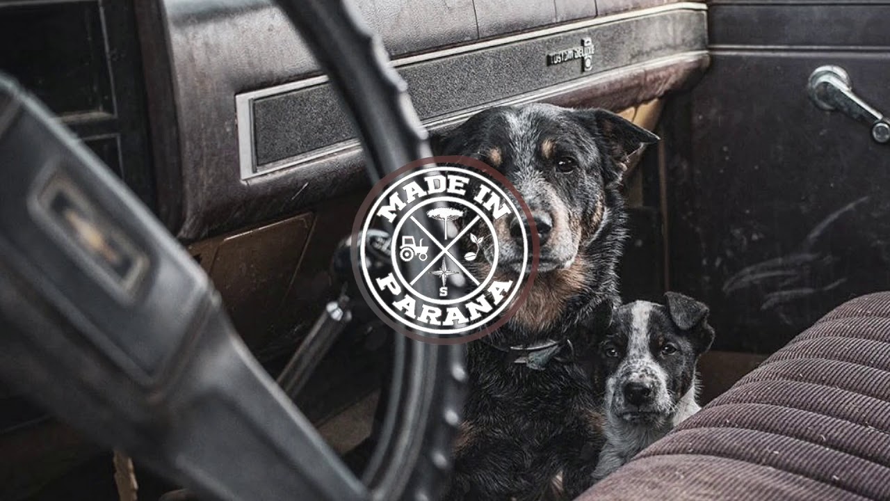 Milion&aacute;rio e Jos&eacute; Rico - Decida (CHURRASCO DO MADE IN PARAN&Aacute;)