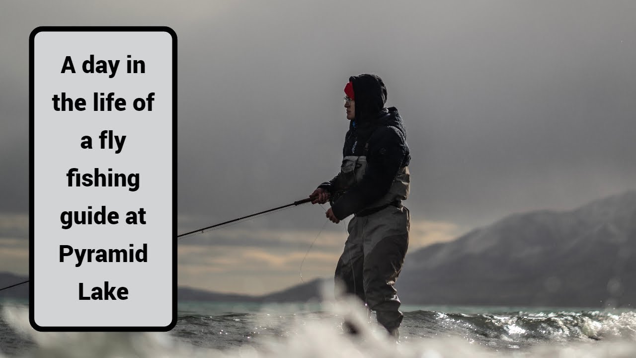 A Day as a Fly Fishing Guide at Pyramid Lake