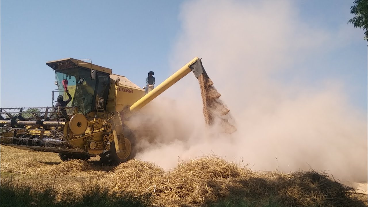 Wheat🌾 Harvester | Wheat Cultivation in Punjab | Punjabi Agriculture Channel