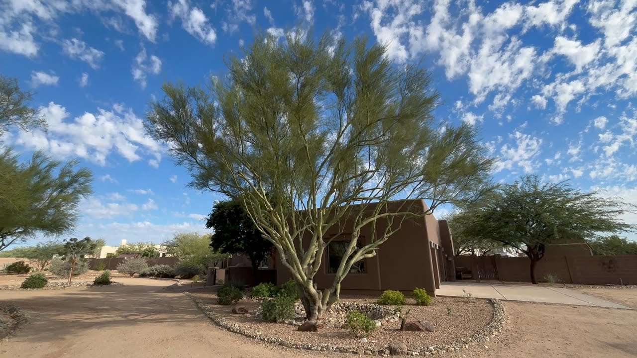 Final Reveal: Thousands of Gallons Managed on this Phoenix Property - Passive & Active Systems