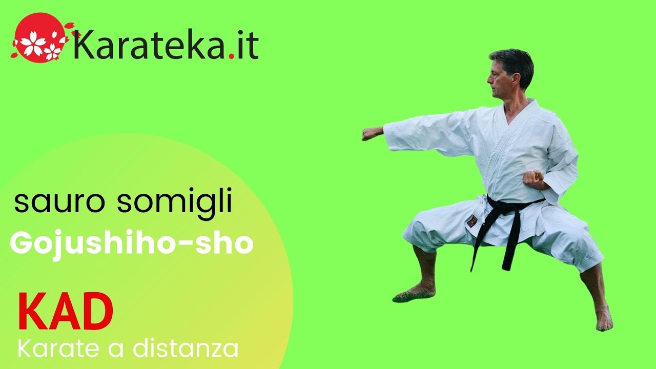 Sauro Somigli - Gojushiho sho - KAD #8 Karate a distanza