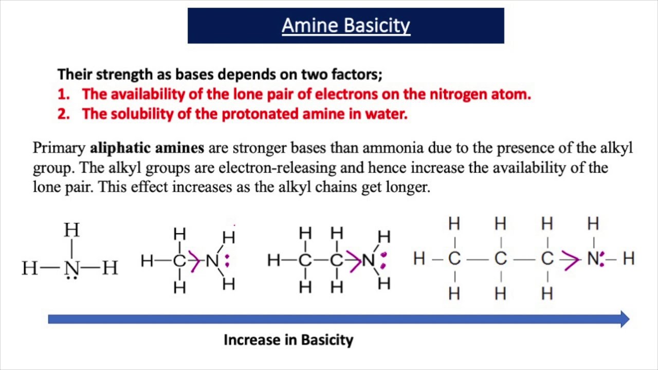 The Basicity of Amines (A2 Chemistry)