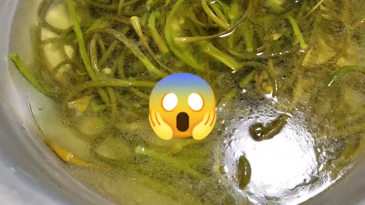 Обалденные ЧЕСНОЧНЫЕ СТРЕЛКИ //стыдно признаться //телефон упал в маринад😱//