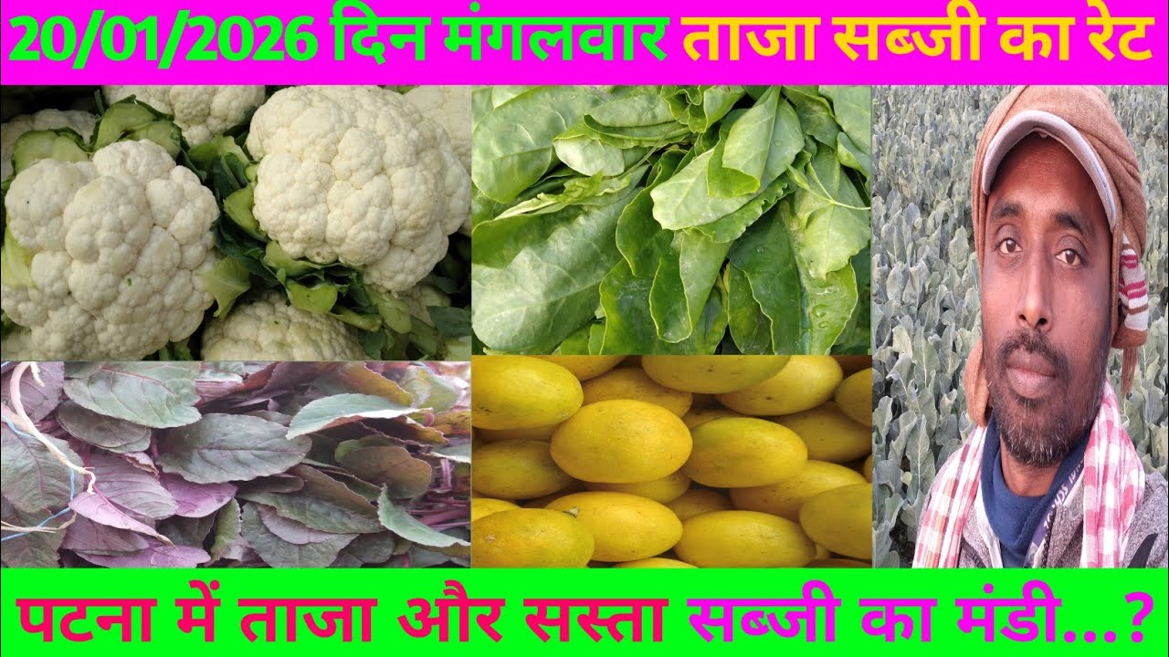 पटना में बिल्कुल ताजा और सस्ता सब्जी का एकमात्र मंडी  | कहा है जाने | #Taja sabji ka mandi 