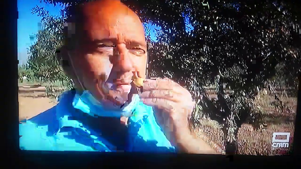 Como recolectar almendras con paraguas y peladora imcorporada