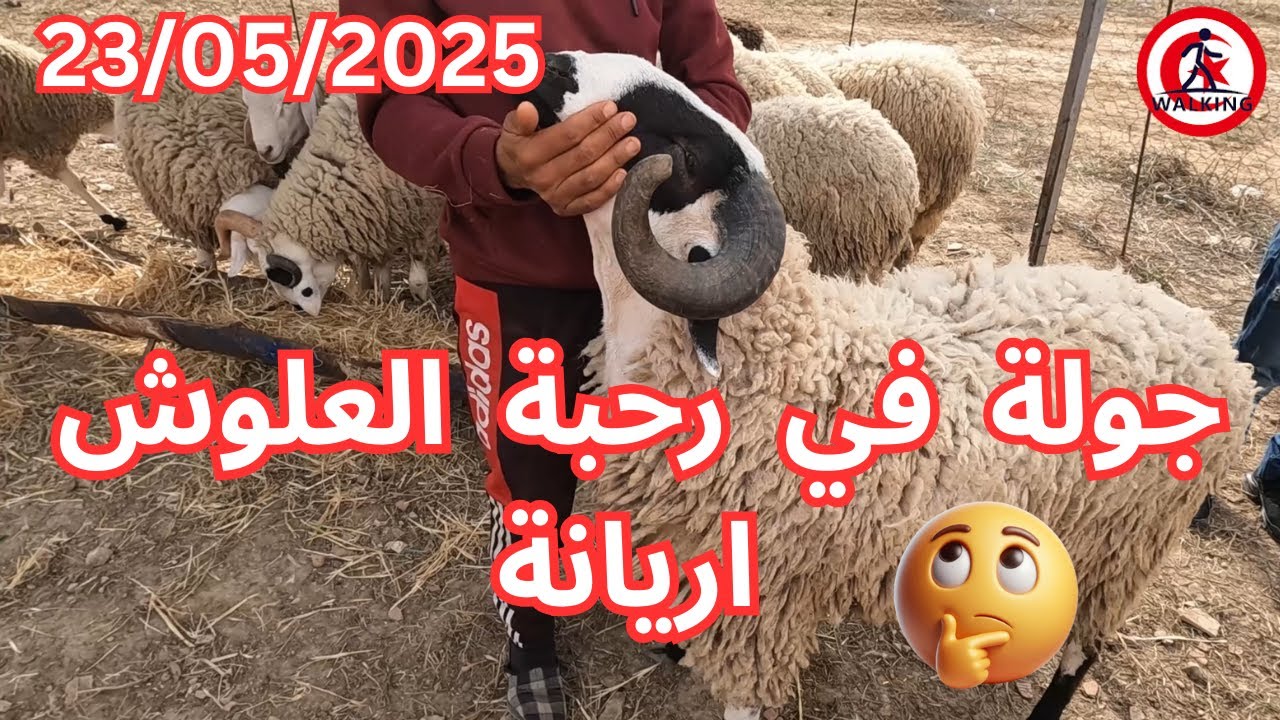 جولة في رحبة العلوش اريانة  تونس 23/05/2025 (4k)