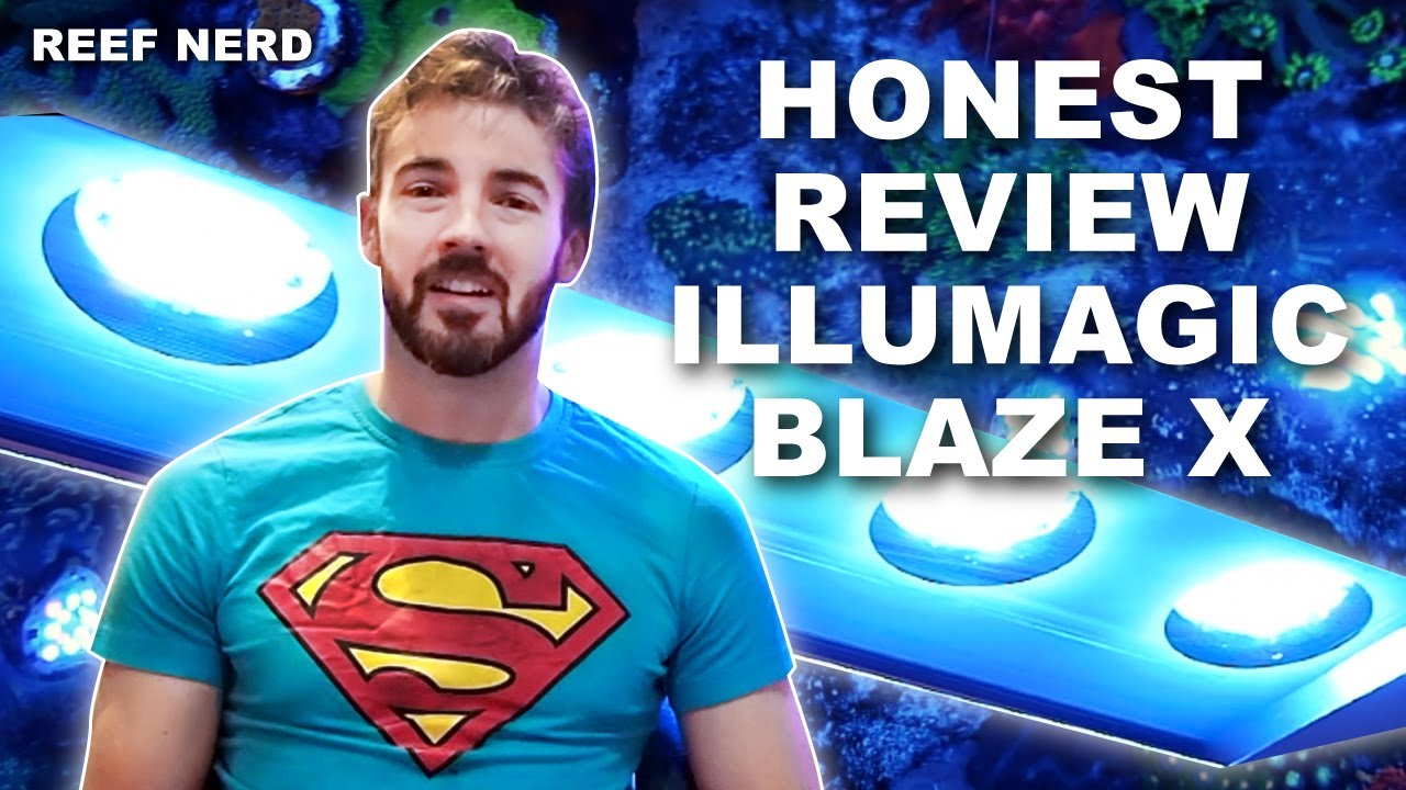 An Honest Review of the Illumagic Blaze X
