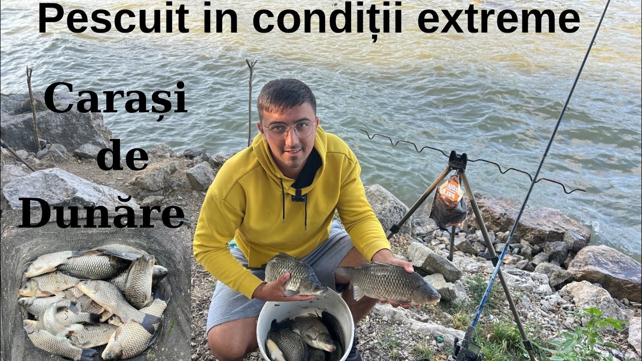 Carași frumoși de Dunăre. Pescuit in condiții extreme😱Partidă cu de toate 😂😂 13/14 IULIE 2023